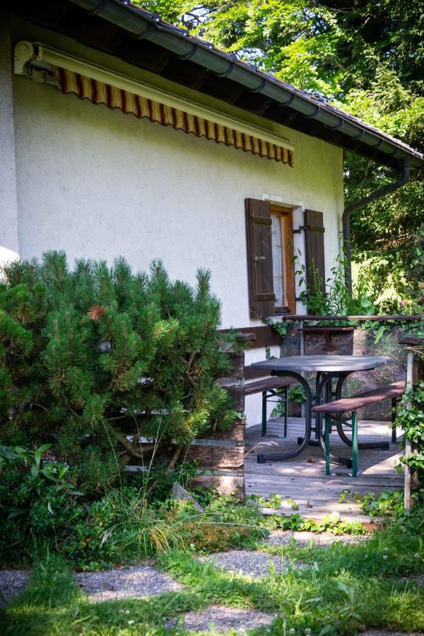 Ferienhaus SchetterЕгг Екстер'єр фото