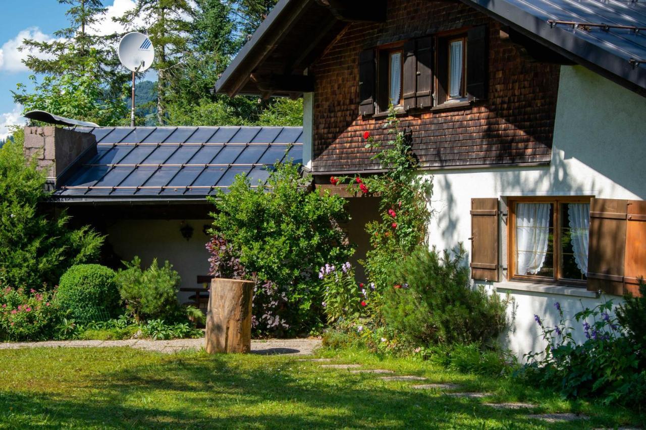 Ferienhaus SchetterЕгг Екстер'єр фото